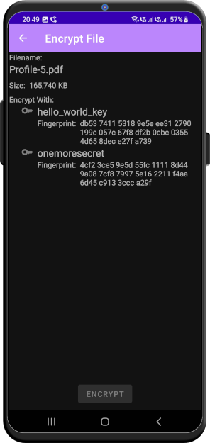 File Encryption